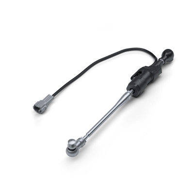 Rear Sets